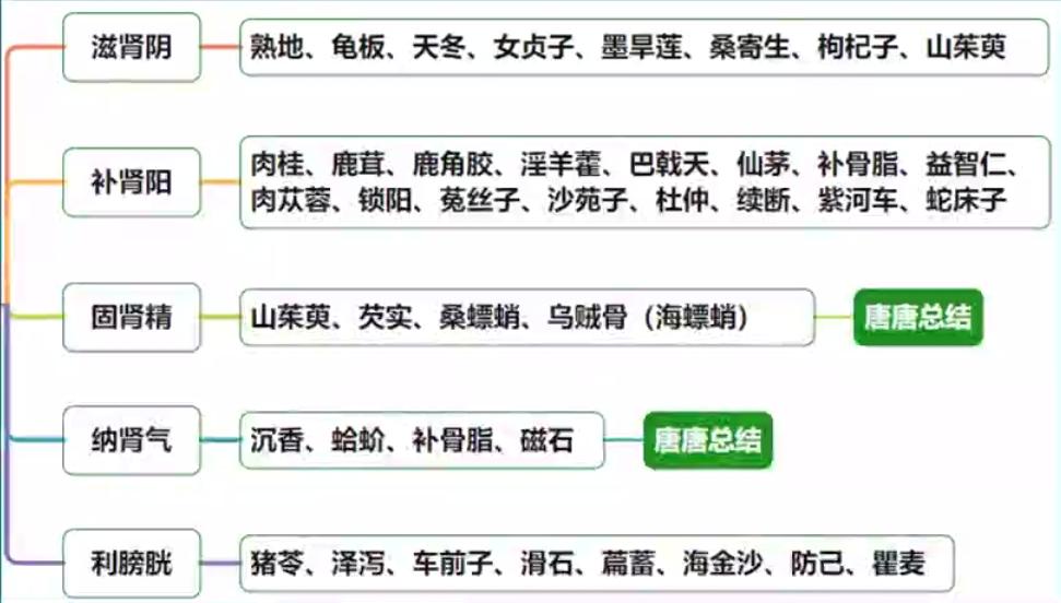 肾与膀胱常用药.jpg 肾与膀胱常用药.jpg