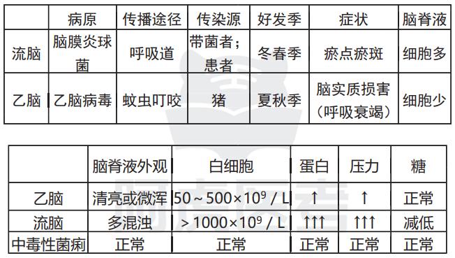 传染28.jpg 传染28.jpg